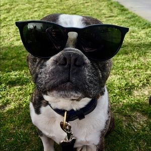 Meet your Posher, Jon